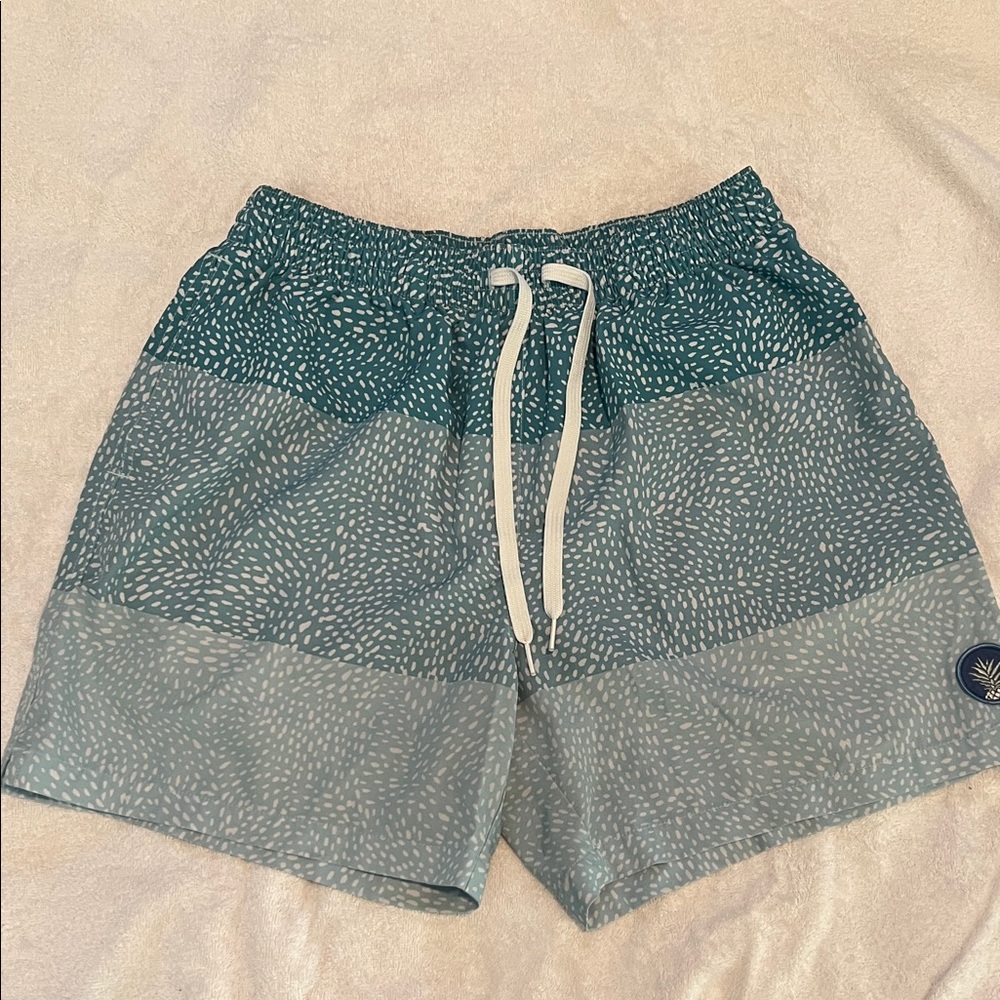 Chubbies Teal Patterned Swim Trunks - image 1
